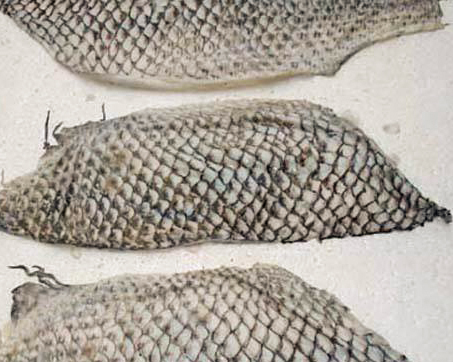 保健品肽類生產—酶制劑解決方案